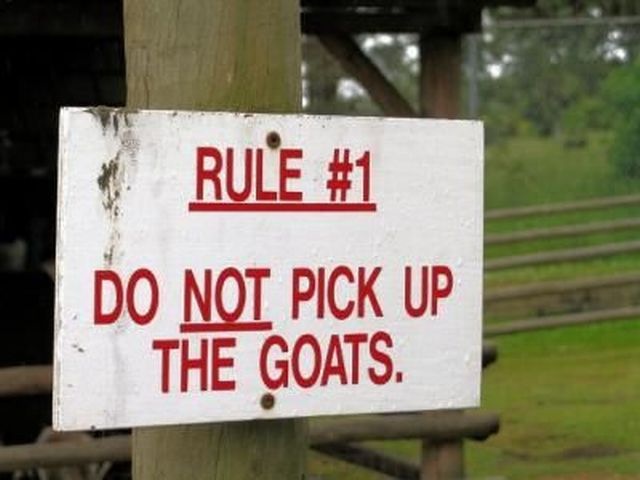 Bildschirmarbeiter - Picdump 17.06.2011