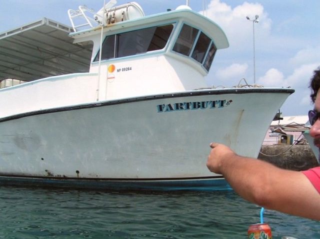 Bildschirmarbeiter - Picdump 17.06.2011