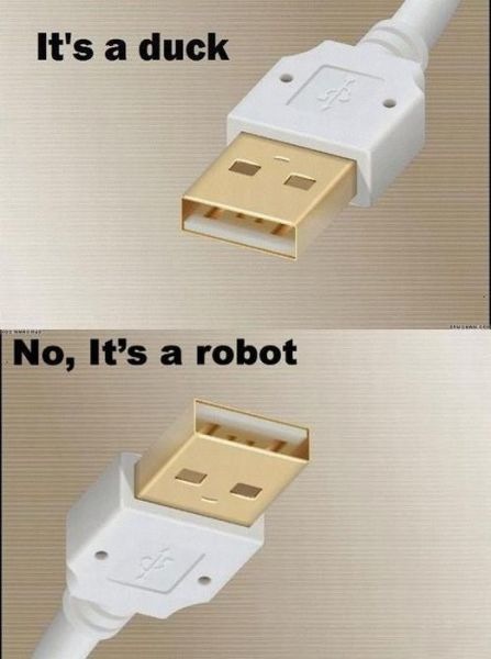 Bildschirmarbeiter - Picdump 17.06.2011