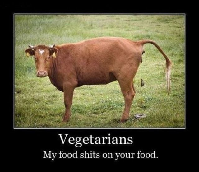 Bildschirmarbeiter - Picdump 17.06.2011