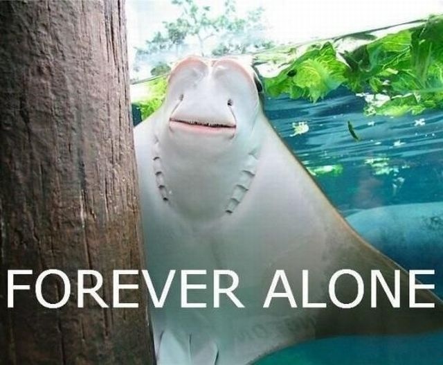 Bildschirmarbeiter - Picdump 17.06.2011