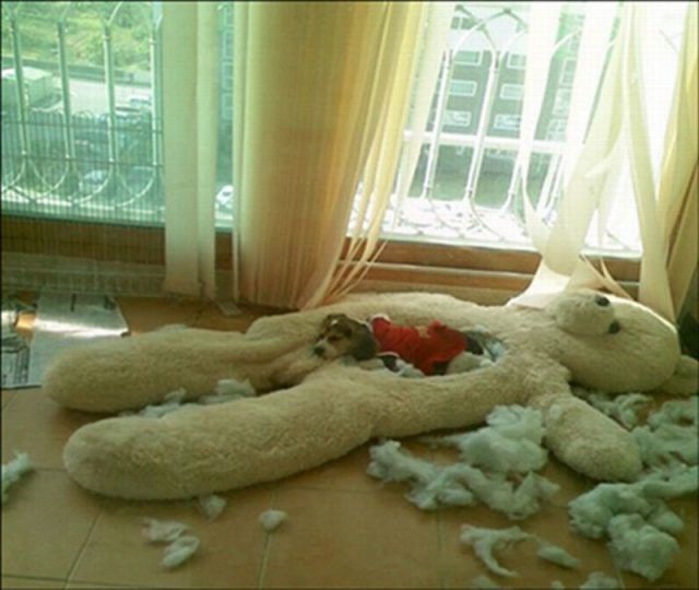 Bildschirmarbeiter - Picdump 17.06.2011