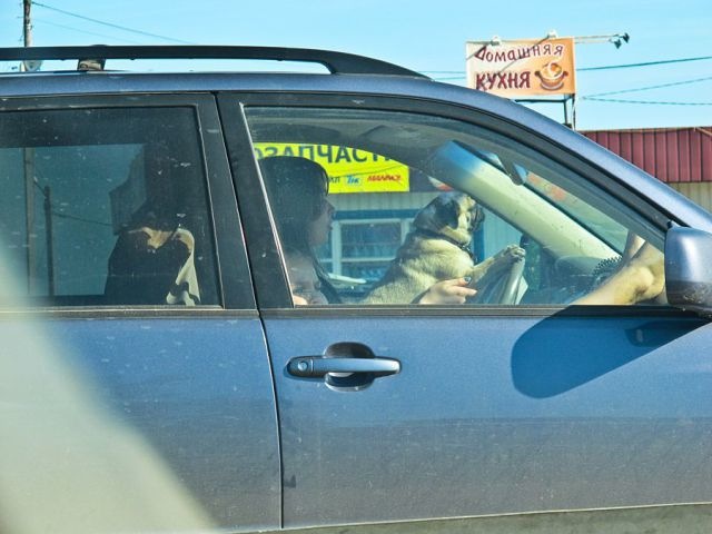 Bildschirmarbeiter - Picdump 17.06.2011