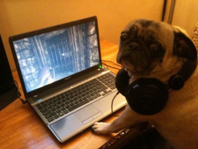 Bildschirmarbeiter - Picdump 17.06.2011