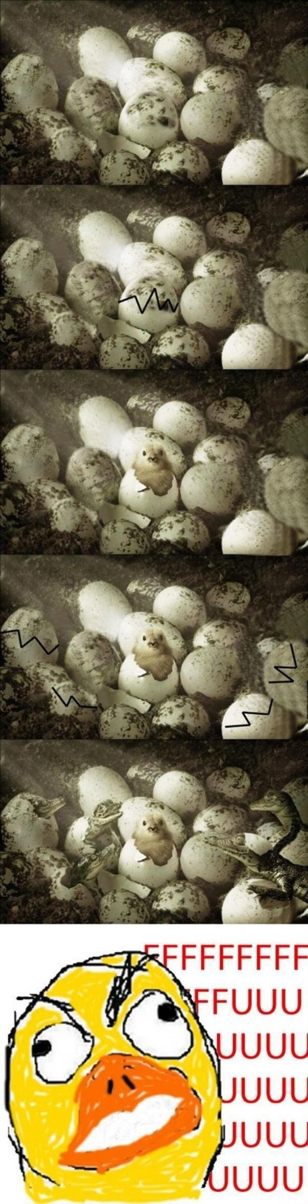 Bildschirmarbeiter - Picdump 24.06.2011