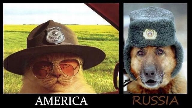 Bildschirmarbeiter - Picdump 24.06.2011