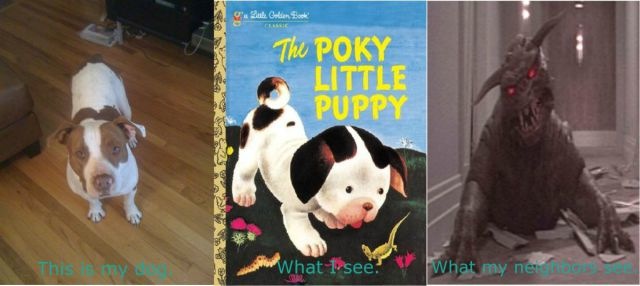 Bildschirmarbeiter - Picdump 24.06.2011