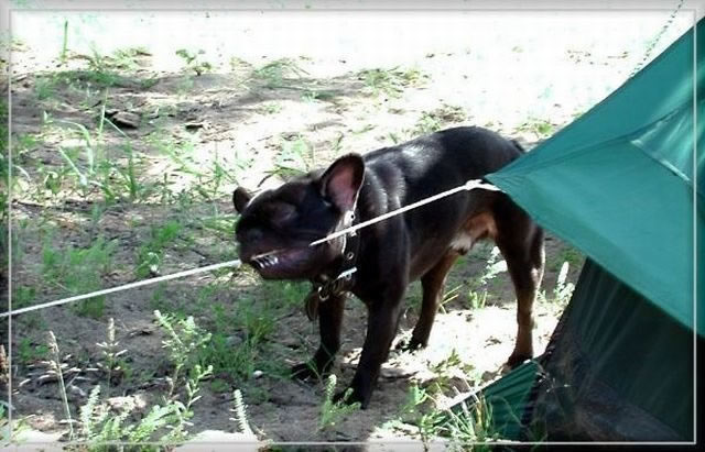 Bildschirmarbeiter - Picdump 24.06.2011