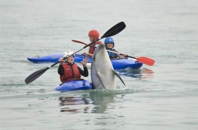 Bildschirmarbeiter - Picdump 24.06.2011