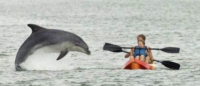 Bildschirmarbeiter - Picdump 24.06.2011