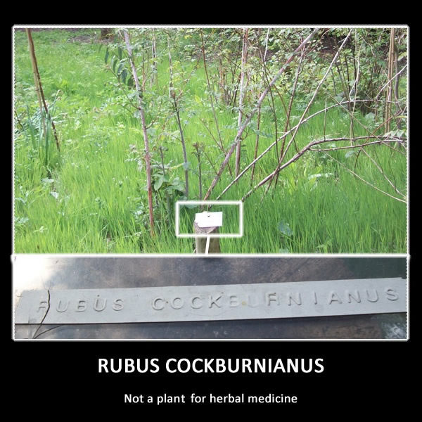 Bildschirmarbeiter - Picdump 24.06.2011