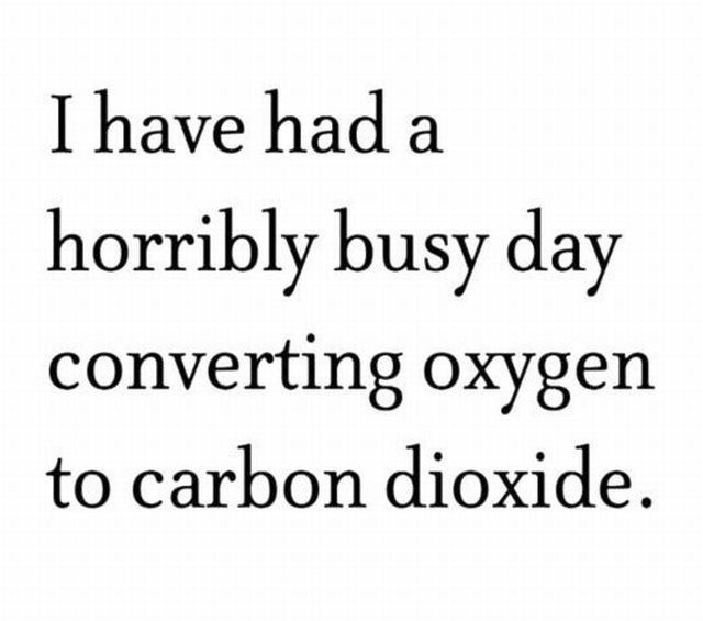 Bildschirmarbeiter - Picdump 24.06.2011