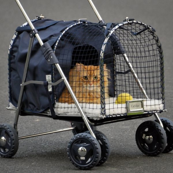 Bildschirmarbeiter - Picdump 24.06.2011