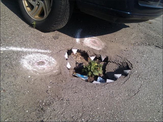 Bildschirmarbeiter - Picdump 02.07.2010