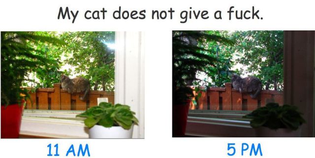 Bildschirmarbeiter - Picdump 02.07.2010