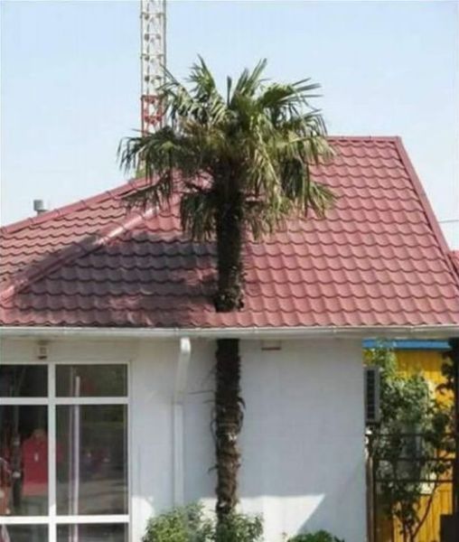 Bildschirmarbeiter - Picdump 02.07.2010