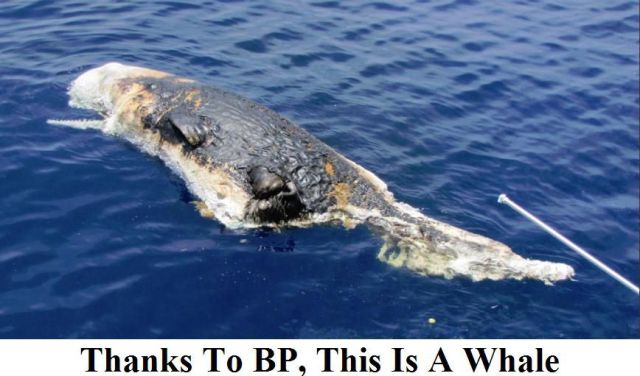 Bildschirmarbeiter - Picdump 02.07.2010