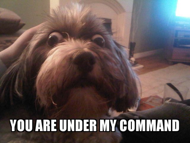 Bildschirmarbeiter - Picdump 02.07.2010