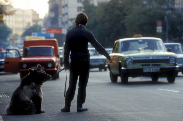 Bildschirmarbeiter - Picdump 02.07.2010