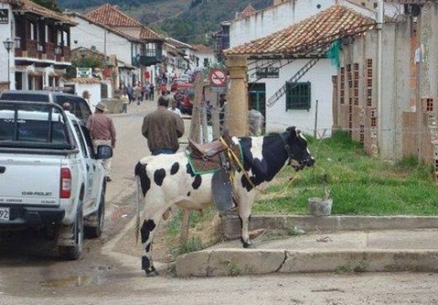 Bildschirmarbeiter - Picdump 02.07.2010