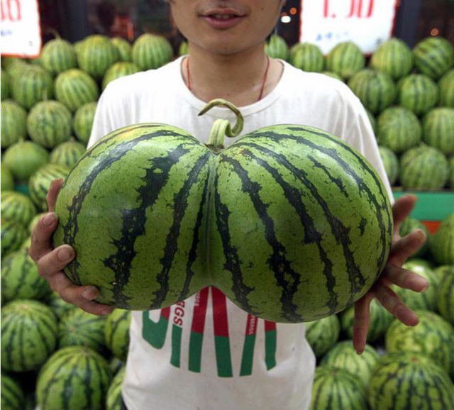 Bildschirmarbeiter - Picdump 02.07.2010