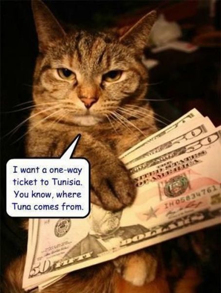 Bildschirmarbeiter - Picdump 08.07.2011