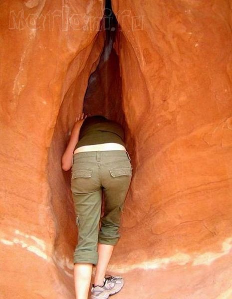 Bildschirmarbeiter - Picdump 08.07.2011