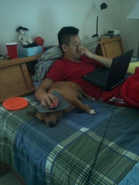 Bildschirmarbeiter - Picdump 08.07.2011