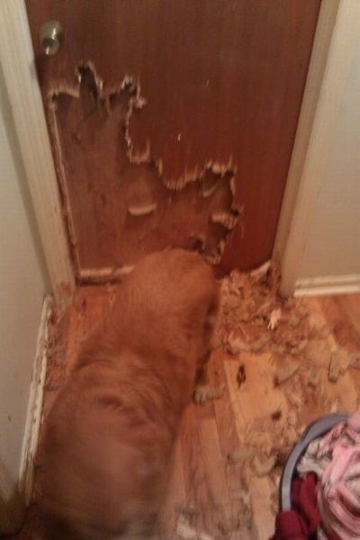 Bildschirmarbeiter - Picdump 08.07.2011