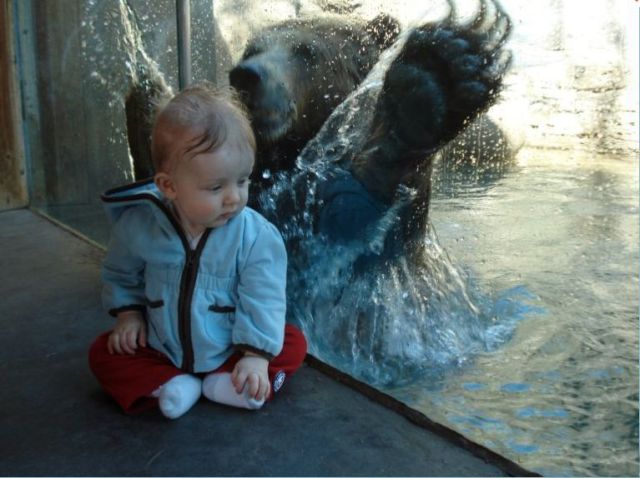 Bildschirmarbeiter - Picdump 16.07.2010