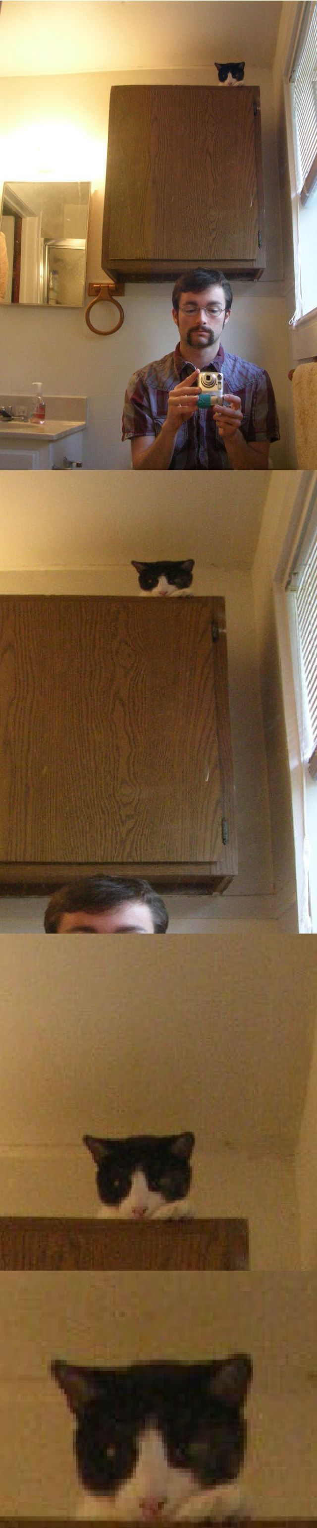 Bildschirmarbeiter - Picdump 16.07.2010