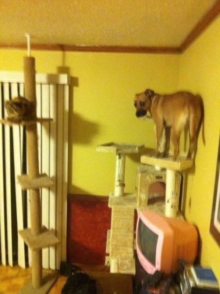 Bildschirmarbeiter - Picdump 22.07.2011