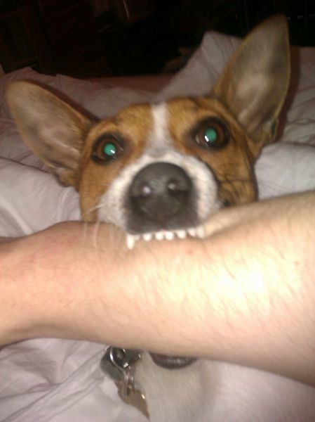 Bildschirmarbeiter - Picdump 22.07.2011