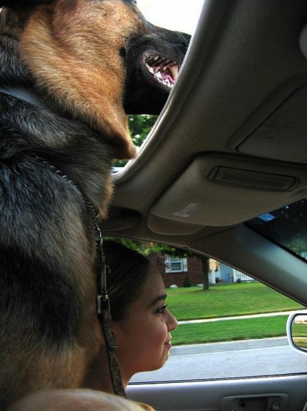 Bildschirmarbeiter - Picdump 22.07.2011