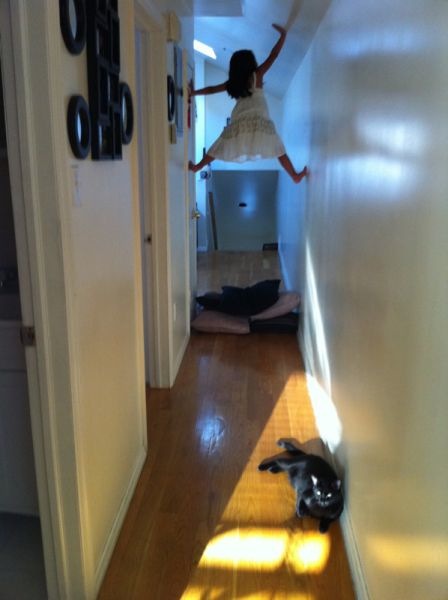 Bildschirmarbeiter - Picdump 22.07.2011