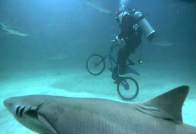 Bildschirmarbeiter - Picdump 23.07.2010