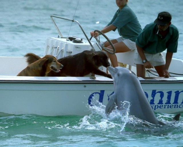 Bildschirmarbeiter - Picdump 23.07.2010