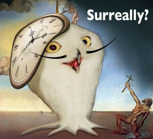 Bildschirmarbeiter - Picdump 23.07.2010