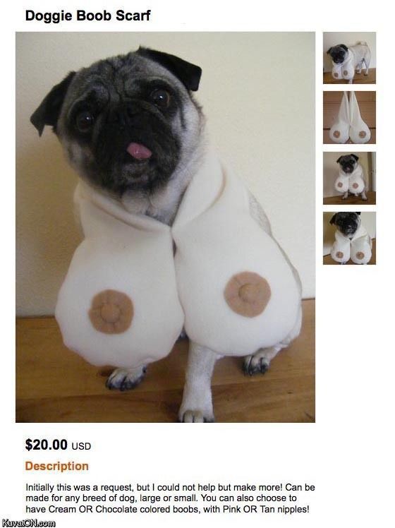 Bildschirmarbeiter - Picdump 23.07.2010