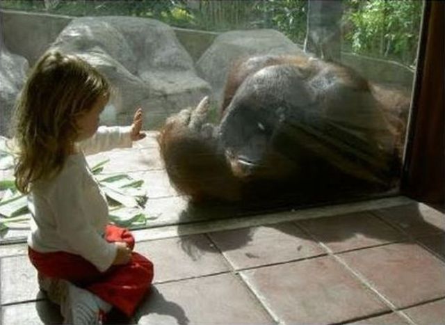 Bildschirmarbeiter - Picdump 30.07.2010