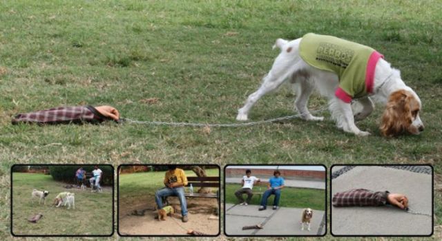 Bildschirmarbeiter - Picdump 30.07.2010