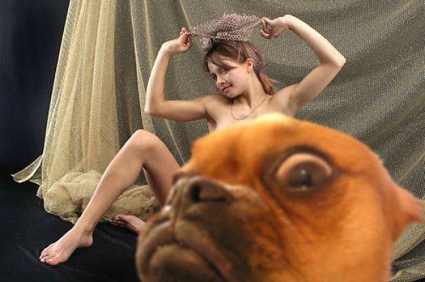 Bildschirmarbeiter - Picdump 30.07.2010