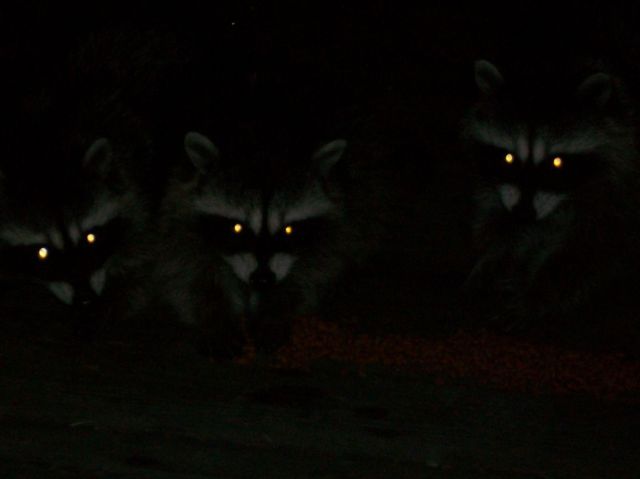 Bildschirmarbeiter - Picdump 30.07.2010