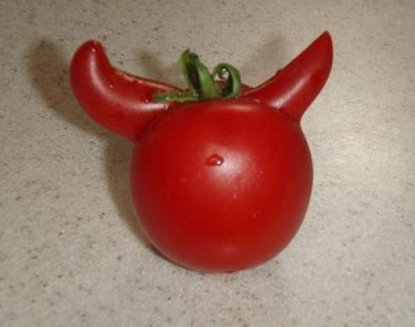 Bildschirmarbeiter - Picdump 30.07.2010