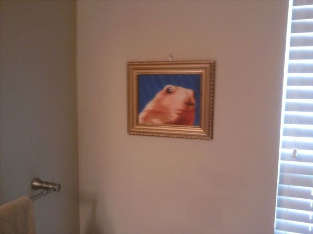 Bildschirmarbeiter - Picdump 06.08.2010