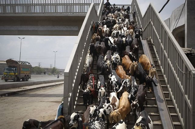 Bildschirmarbeiter - Picdump 06.08.2010