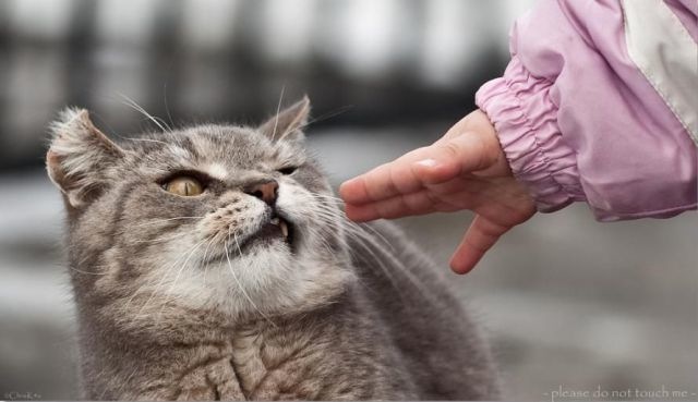 Bildschirmarbeiter - Picdump 06.08.2010