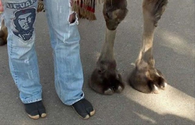 Bildschirmarbeiter - Picdump 06.08.2010