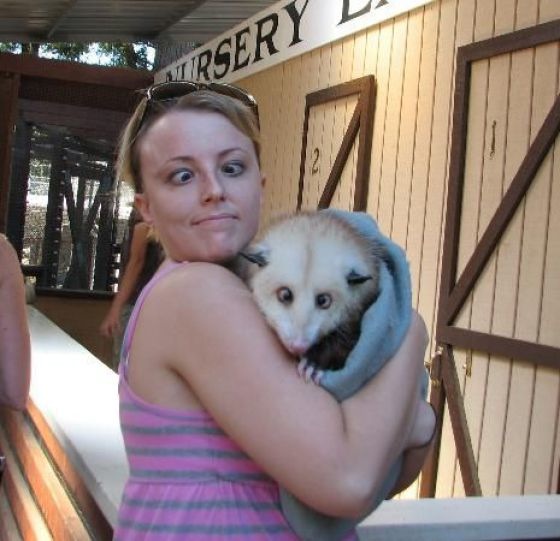 Bildschirmarbeiter - Picdump 06.08.2010