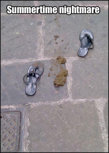 Bildschirmarbeiter - Picdump 06.08.2010